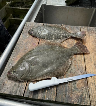 Salt in the air and fishing Flounder in SC!